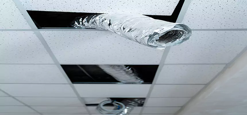 Affordable HVAC Sanitizing After Pest Removal in Lancaster