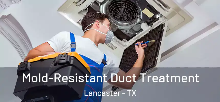  Mold-Resistant Duct Treatment Lancaster - TX