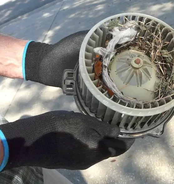 About Air Duct Mice Removal in Lancaster, TX