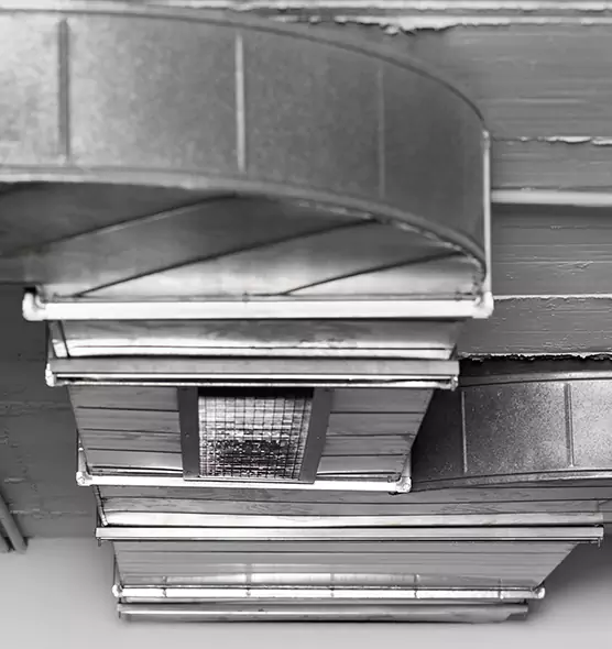 Professional Air Duct Pest Removal in Lancaster, TX