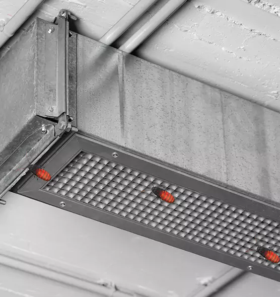 Affordable Insect Removal from Air Ducts in Lancaster, TX