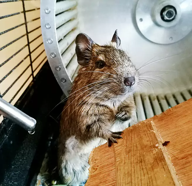 Why Homeowners & Businesses Trust Us Lancaster, TX